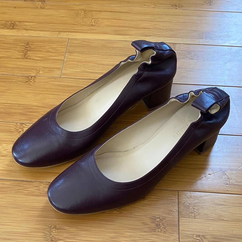 Classic brown Everlane Day heel